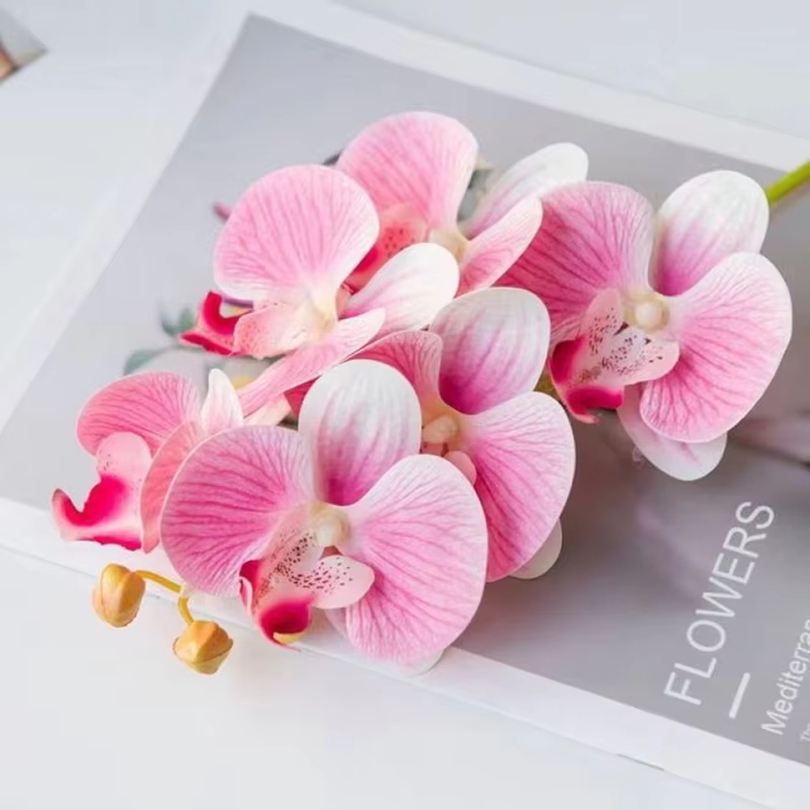 3D ประดิษฐ์ดอกไม้พลาสติก Butte - Smart Garden Storage บทวิจารณ์และราคา