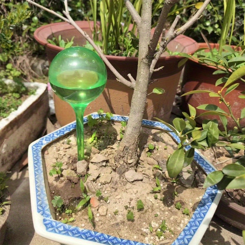 ลูกบอลรดน้ำต้นไม้ในร่ม 6 ชิ้น  - Smart Garden Sprinkler บทวิจารณ์และราคา