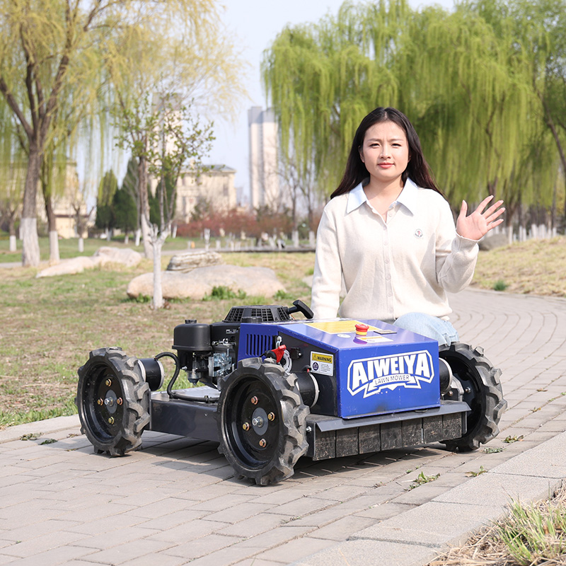 เครื่องตัดหญ้าอัตโนมัติแบบกำหน - Smart Garden Gadgets บทวิจารณ์และราคา