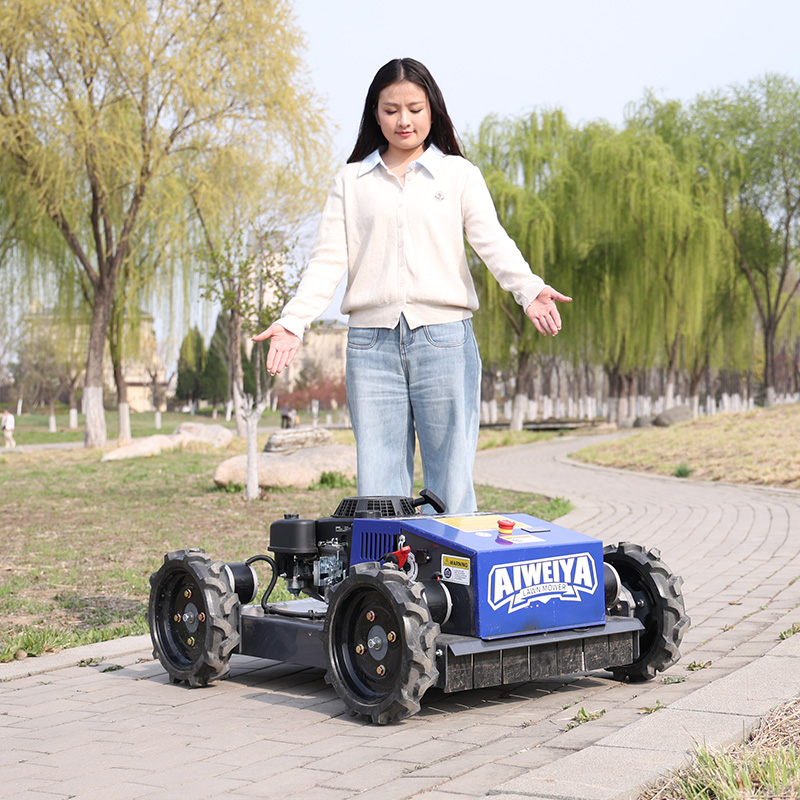 เครื่องตัดหญ้าอัตโนมัติแบบกำหน - Smart Garden Gadgets บทวิจารณ์และราคา
