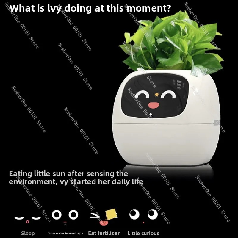 กระถางต้นไม้พลาสติกแบบรดน้ำอัต - Self Watering Pot Sensor บทวิจารณ์และราคา